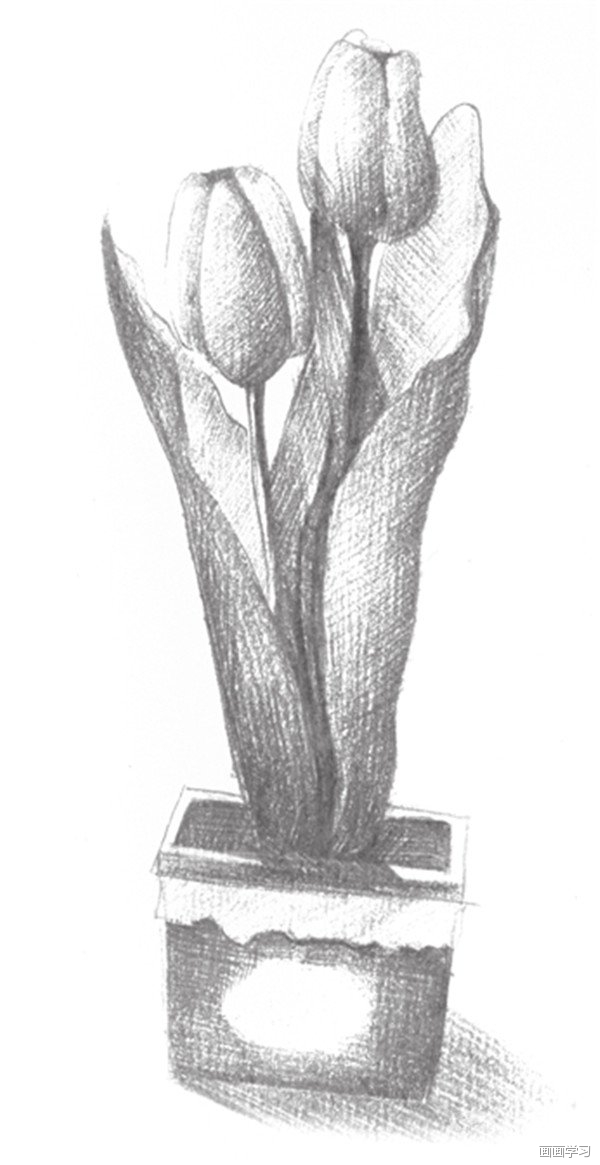 背靠中国国家画院