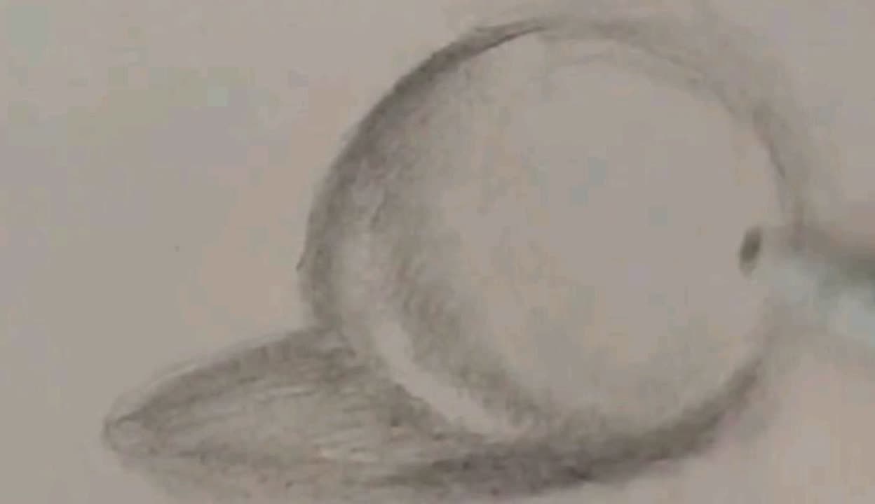 仿佛给予观者一种时空穿越的体验