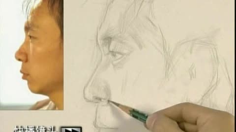 《编码物候》展览开幕 北京时代美术馆以科学艺术解读数字与生物交织的宇宙节律